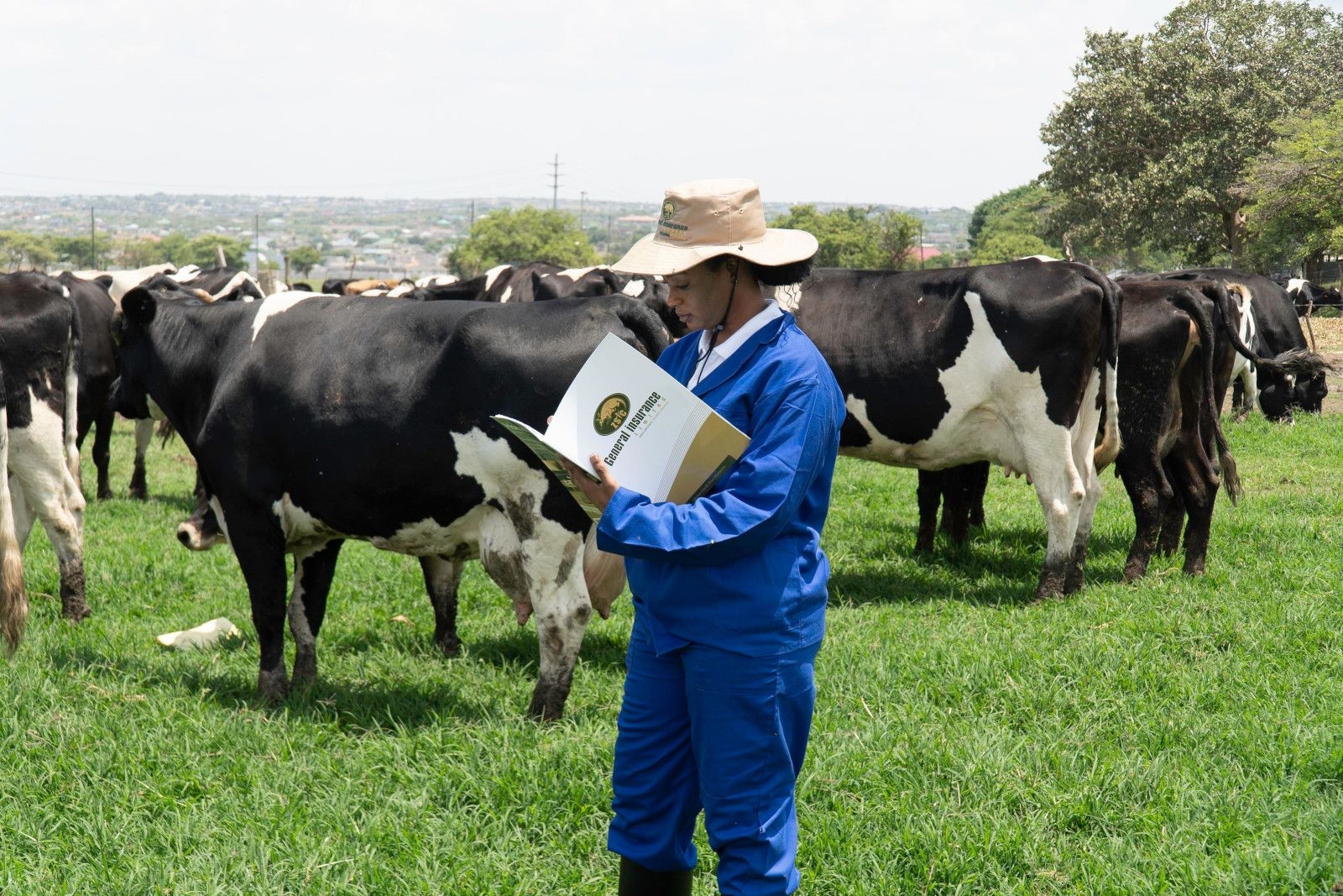 Agricultural Insurance